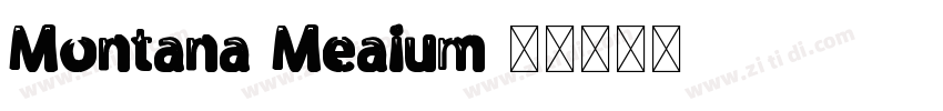Montana Meaium 字字体转换
